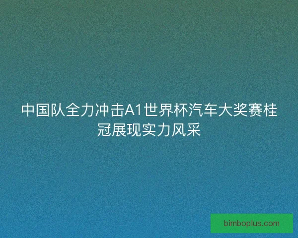 中国队全力冲击A1世界杯汽车大奖赛桂冠展现实力风采